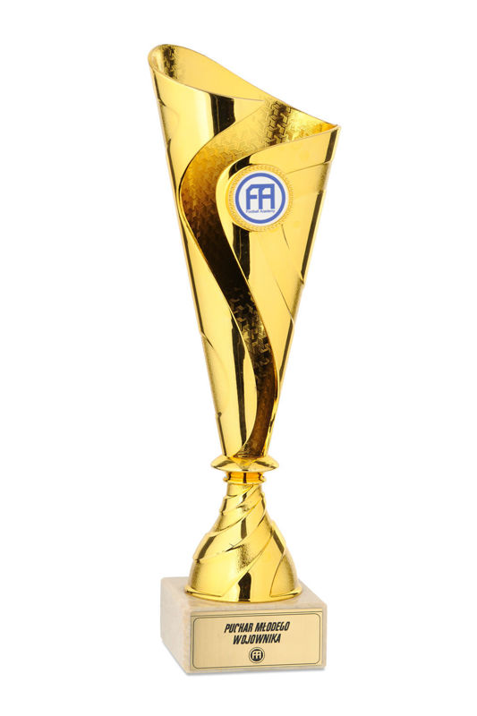 Obrazek Puchar Football Academy i Football Baby Wzór VII
