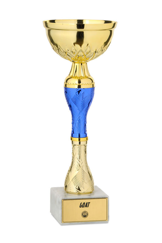 Obrazek Puchar Football Academy i Football Baby Wzór II