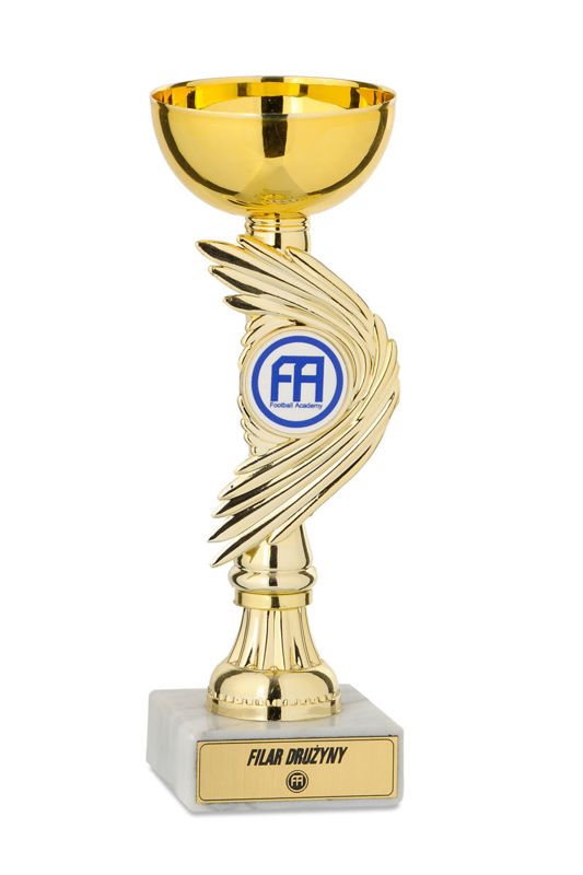 Obrazek Puchar Football Academy i Football Baby Wzór I
