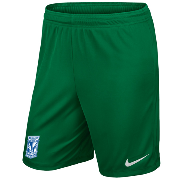 Picture of Spodenki bramkarskie Nike LPFA - zielone